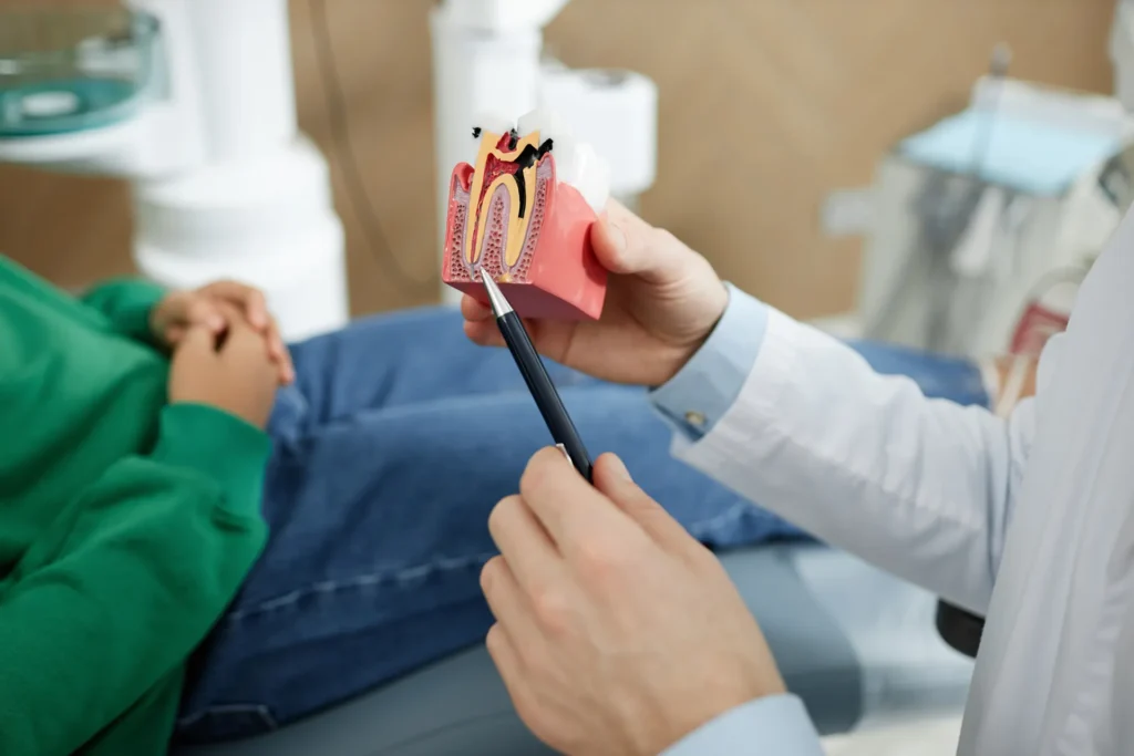 Clinician pointing a pen at a tooth model while explaining it to a seated patient