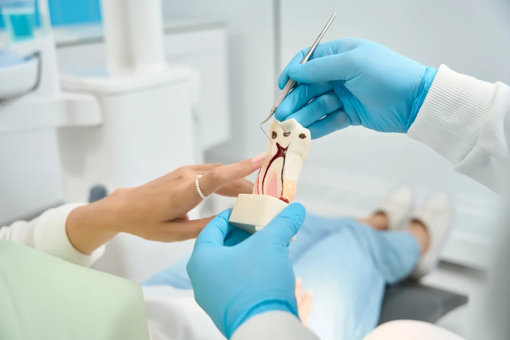 Clinician using a probe to point at a tooth model's root canals while a patient in the chair looks on